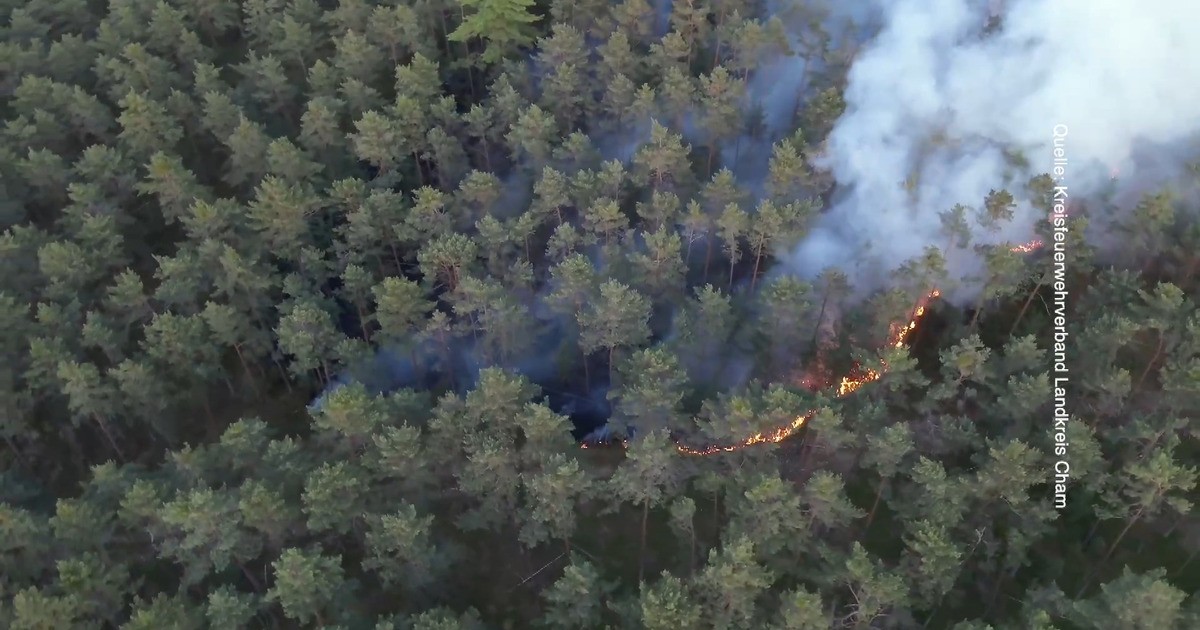 Preview of the TVA report about an AI drone for early wildfire detection